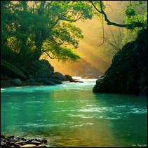 Western Australia 1 wills deceased estates probate inheritance administration next of kin